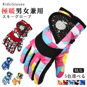 yP5I2180~2071~ 10/27܂ŁzXm[{[h XL[ O[u Xm[{[hO[u XL[ 5{w LbY  V h WjA LbY q h h j̎q ̎q ~ߕt