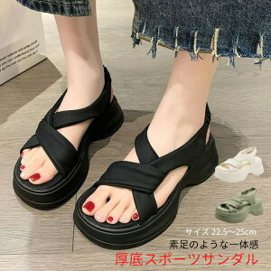 yP2{I3540~3469~ 11/17܂Łz T_ fB[X y r[` T_ Ȃ tbgT_ C r ~ bNX gh Vv  C l ₷ L 