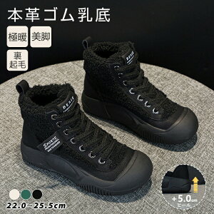 y̔!zXm[u[c fB[X LeBOXm[u[c h N 5cm ϖ ʋC u[c V[gu[c fB[X {A   N V [q[ 