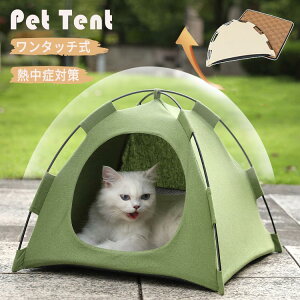 yz!X[p[SALEzLeg ybgeg NbVt h[ ʔN  n  ʋC ς Lp ^ YbNeg 悯 y  O AEghA L