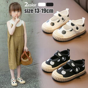 yP2{I2590~2538~ 11/17܂Łzǂ YbNC Xj[J[ LbY ̎q Xb|qV[Y hbg  13 14 15 16 17 18 19 ₷  ʉ ʊw ct w H x