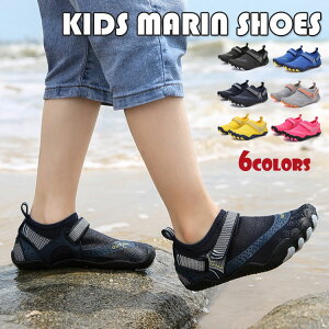 yP2{I3250~3185~ 11/17܂ŁzLbY }V[Y T[tu[c j̎q ̎q [tV[Y q ANAV[Y _CrOV[Y r[`V[Y y ʋC r p 6