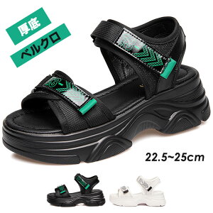 yP10{I4580~4122~ 11/11܂ŁzfB[X  xNT_ X|[cT_ r[`T_ RtH[gT_ q[5.5cm r ₷ AEghA JWA V