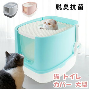 y4500~4410~ P2!zL gC Jo[ ^ 傫 LgC lRgC gC^[ L ォ U炩ɂ юUh~ B gݗĂ₷ Wt o XRbvt