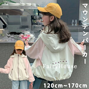 yP2{I3880~3802~ 11/17܂ŁzLbY }Eep[J[ ̎q EChu[J[ p[J[ 㒅 WjA q ̎q K[Y AE^[ w w  q t H 