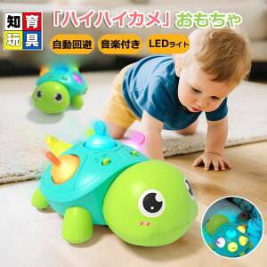 yP10{!11/11܂ŁznCnCJ Ԃ񂨂 3in1 0 1 mߋ wg[jO Foh BPAt[ ABS VR  yCgt ʒ߉\ @\ łߑΉ 