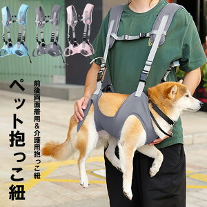 yP10{I3979~3581~ 11/11܂ŁzSgpobNpbNn[lX ً}ppobNpbN ^ ^ s⏕ ̂ԕR V O 둫 ⏕ ybgp Ap⏕An