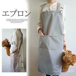 y̔!zX|bƂԂ邾ŊȒPEI~h Gv JtFGv ԉ Ԃ IV rbN|Pbg Yɂ