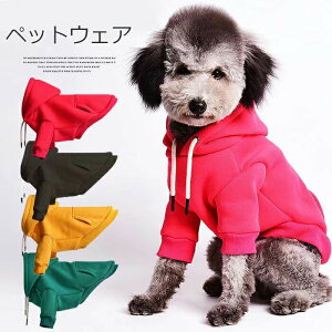 yP10{I2599~2339~ 11/11܂ŁzTbƃJWAɒIIׂ4F    JWA hbOEFA g H~   ^ ^ ^ XSE2XL p[J[ g[