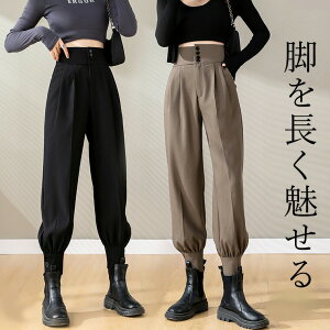 yP2{I3278~3212~ 11/17܂ŁzS-2XLTCY nCEGXg ^bNpc pc Nbvhpc J[Spc n[pc A[~[pc t  H u[cC u {^  