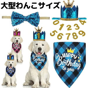 y̔!z^TCY aZbg eBA lN^C   L ybg X^C Xqt hbOEFA Lp o[Xf[  L nbg  p X^C j ʐ^ B