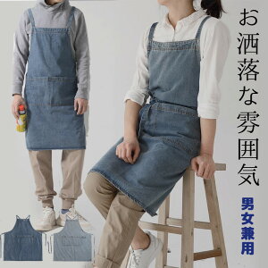 yP2{I2129~2086~ 11/17܂Łzjp ȕ͋C JtF CfBS  IV u[ O G H^ fjJtFGv JtFGv fj