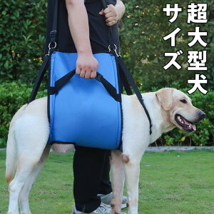 yP10{I3799~3419~ 11/11܂Łz^TCY ʔNg S̎x n[lX pi  EFA U Vpi  VjA r  nr s T|[g xg