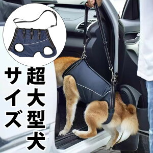 yP10{I4699~4229~ 11/11܂Łz^TCY ʔNg S̎x pi  EFA U Vpi  VjA r  nr s T|[g xgグ nr