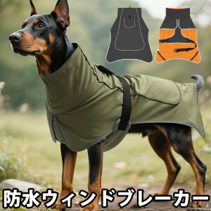 y2349~2302~ P2p! 11/27 01:59z^TCY背CEFA CR[g J ^ ^  U J[L A[~[ ubN  _[NO[  iD 