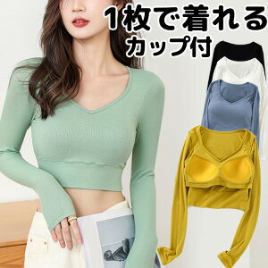 y̔!zS-XLTCY 1Œ X|[cWɂ fB[X V[g ugbv  Œ [EFA Jbvt tBbglX K seBX W g[jO EFA g