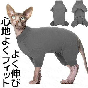 y̔!z悭Lт ₷ x  XLEGA Xgb` L ^ ё΍ p[X ۉ ` gCv[h _bNXth H ~ r GUxXJ