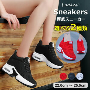 y4139~4056~ P2p! 11/27 01:59z8cmŋrrʂ E3FWJ Iׂ2 Xj[J[ fB[X C\[ X|[cV[Y i[XV[Y Xb| ʋC J