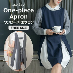 yP2{I3979~3899~ 11/17܂ŁzfB[X KB oCJ[ zF ^bN ȃ| VɂȂɂ O |Pbgt Gvs[X JtFGv ԉ 