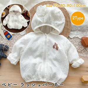 y2480~2430~ P2!zxr[ UVJbg bVK[h ̎q j̎q Xibv{^ t[ht    y q  Ă~ Oh~ [΍  y i 