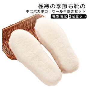 y2025~1985~ P2!zXm[u[c C\[ ʊw H~ E[C\[  Ռz  2Zbg g h  E[ L ʋ h΍ C\[ ₦ 