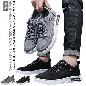 y̔! P2z 40 Xj[J[ V[Y YXj[J[ JWAV[Y amC rWlX Y JWA Xj[J[ h C Y 20 30