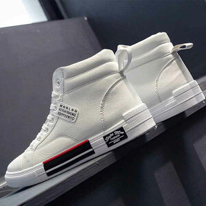 y̔! P2zV[NbgV[YV[NbgV[Y Y Cq[ K Xj[J[ V[NbgV[Y