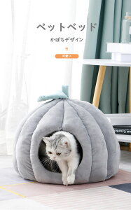 y̔! P2zL xbh h[  L nEX h[^  g  @Ő􂦂 LbgnEX NbV   Lp p ybgp `[txbh 