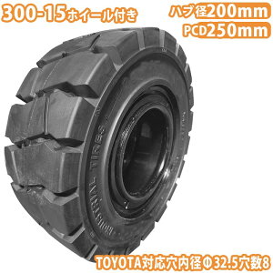 tH[Ntg ^C Vi m[pN^C zC[tłg Zbg 1{ 300-15^C ta32.5mm×8 nua200mm PCD250mm ubN  m[pN YƎԗ tH[Ntgpm