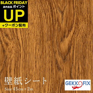 _|CgUP+N[|^ǎV[2m  ȒP \ JbeBOV[ ؖ(~fBAjfRX^C/GEKKO 45cm 10072 hCc