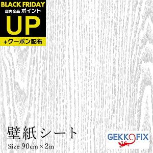 _|CgUP+N[|^CNV[g ؖ(Vo[O[j90cm×2m  ȒP \ DIY JbeBOV[gfRX^C/GEKKO  11246 hCc