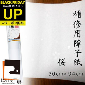 _|CgUP+N[|^Cpq  30cmx94cm2 ybg̈~₨ql̂ P-145 ւ 傤 ݌ɂ킸