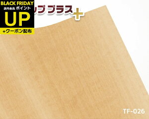 _|CgUP+N[|^σtB 92cm×24m ؖڃA_[ TF-026 ^tAbvvX JbeBOV[g CeAV[ CN DIY Ƌ