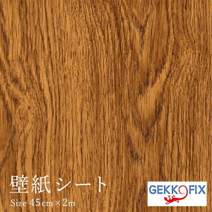 _|CgUP+N[|^ǎV[2m  ȒP \ JbeBOV[ ؖ(~fBAjfRX^C/GEKKO 45cm 10072 hCc