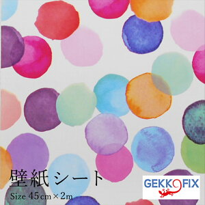 _|CgUP+N[|^ǎV[2m  |bv ȒP \ JbeBOV[ WA fRX^C/GEKKO 45cm 13499hCcǎV[