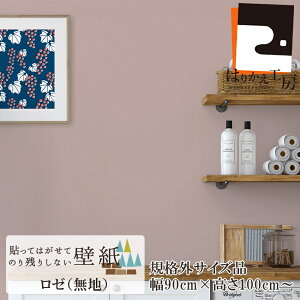 KiO \Ă͂Ă̂c肵Ȃǎ V[ [ 90cm 100cmȏ MAX240cm   Vv { DG ̃t ͂ܕsv JK9063Z