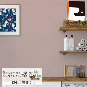 _|CgAbv+N[|^yz͂ǎV[ 45cm×2.5m Z[W [ i` JK45 Vv { lC 킹ȒP