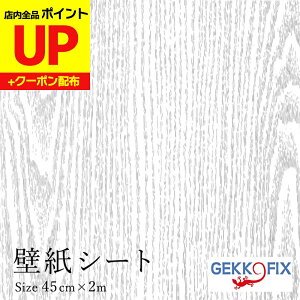 _16ӍՃ|CgUP^CNV[g  ȒP ؖ(Vo[O[j45cm×2m \ JbeBOV[ fRX^C/GEKKO 10068 hCc ǎV[