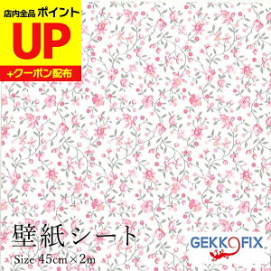 _16ӍՃ|CgUP^CNV[g2m   ȒP \ JbeBOV[ (v[Y) fRX^C/GEKKO 45cm 10238hCcǎV[