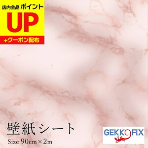 _16ӍՃ|CgUP^CNV[ 嗝΃sN 90cmx2m  ȒP \ JbeBOV[g fRX^C/GEKKO 10704 hCc