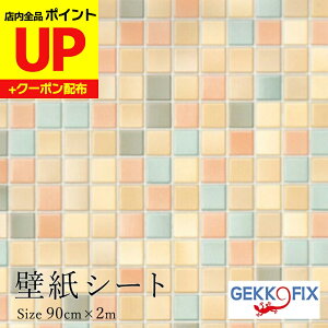 _15|CgAbv+N[|^CNV[g ^C 2m Jt  ȒP \ JbeBOV[ sGc@ fRX^C/GEKKO 90cm 10736hCc