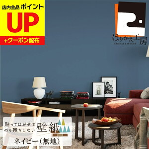 _15|CgAbv+N[|^͂ǎ V[ lCr[ 45cm×2.5m  Vv { DG ̃t ͂ܕsv  X܉