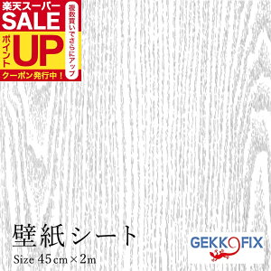 CNV[g  ȒP ؖ(Vo[O[j45cm×2m \ JbeBOV[ fRX^C/GEKKO 10068 hCc ǎV[