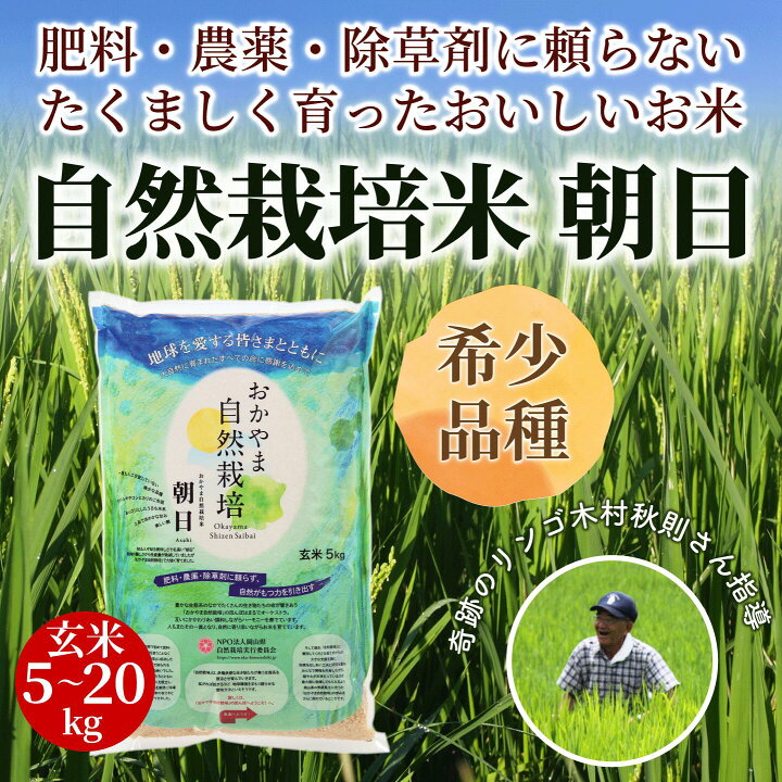 楽天市場】玄米 自然栽培 [ 予約 令和6年産 ] 朝日米 5kg 10kg 15kg  