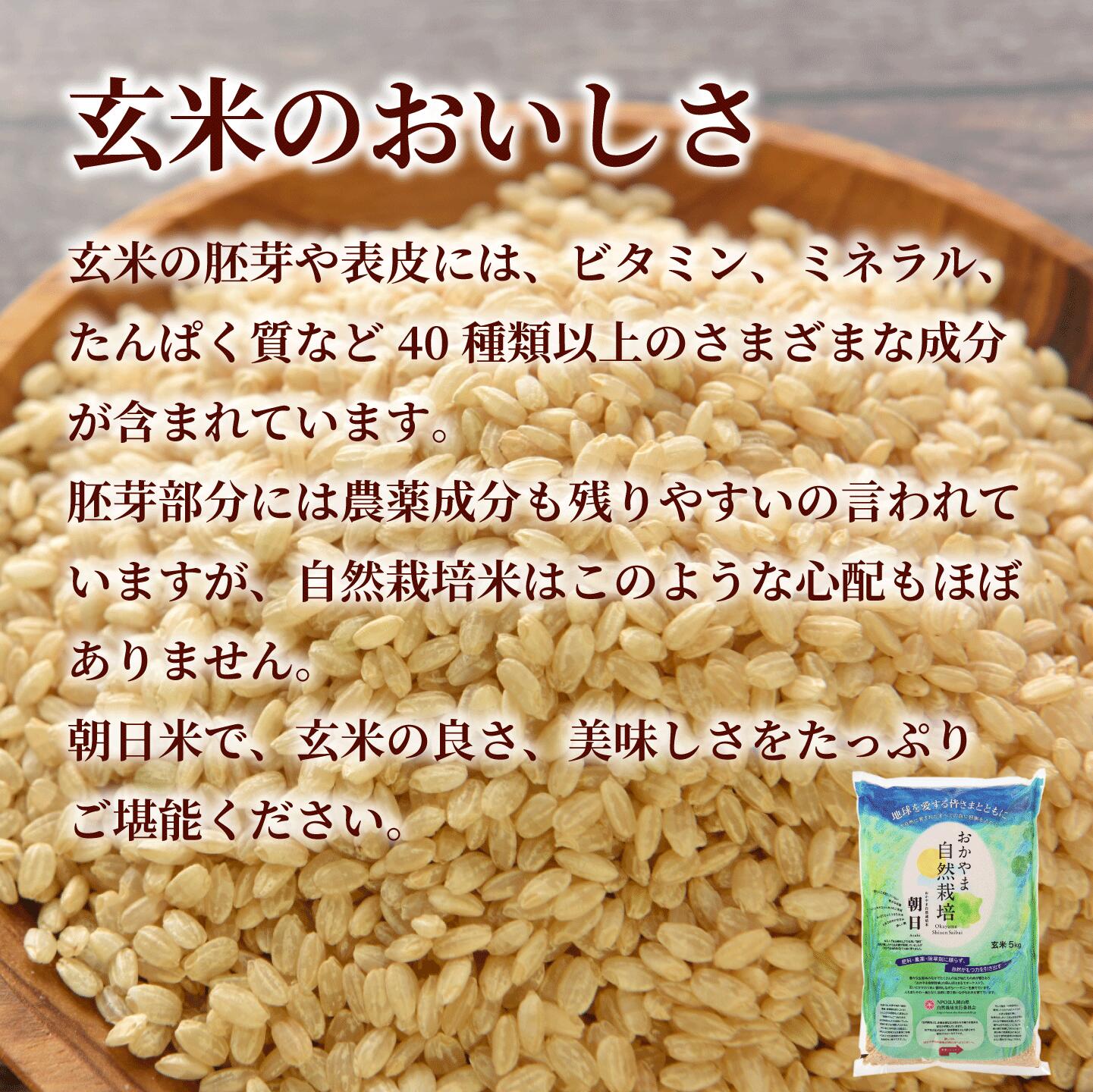 楽天市場】新米 令和５年産 玄米 2kg 送料無料 朝日米 おかやま 自然