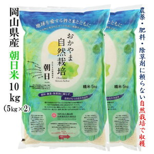  ߘa7N R͔| 5kg 10kg 15kg 20kg V    ܎R͔| RY _ 엿 ܂ɗȂ R͔|  ͂   [ RY ؑ R͔|  