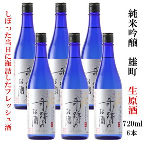 { Ղ̂ ċ  720ml 2024Nx Y Mtg v[g h  n q~ R N[ 