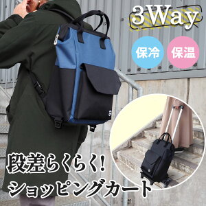 i 炭炭 VbsO J[g 3 ^Cv u[  e  bN