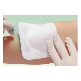 エスアイエイド（50枚入）3号 アルケア 薬局 病院 医療 看護 介護 創傷 シリコン ゲル ドレッシング 傷 フリーカット