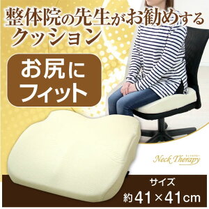 ̉@̐搶߂ NbV KɃtBbg 41×41cm ᔽf lbNZs[ p Lw ̓ v[g